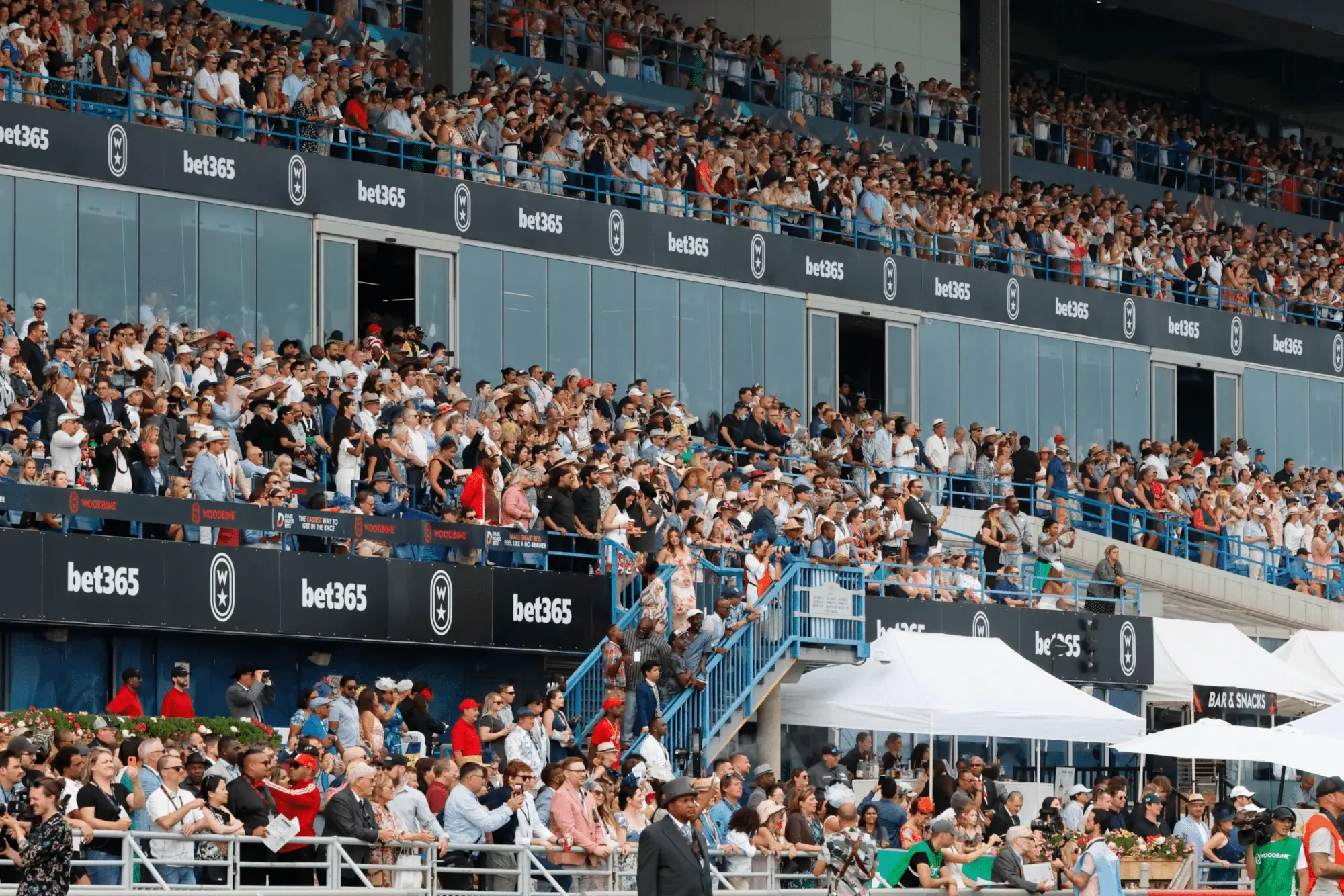 A view of the fan-filled stands at Woodbine ractrack with bet365 advertisements displayed