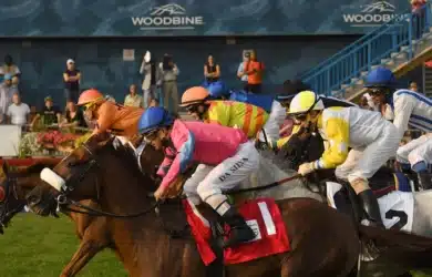 Breeders’ Stakes Odds & Betting Sites 2025